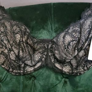 Paramour Lou Lou 32H in Black